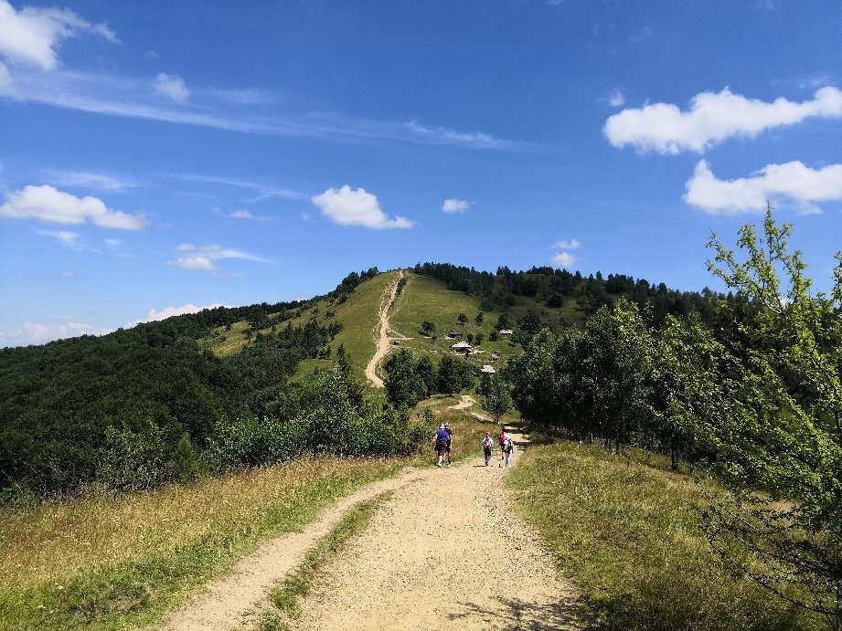 Yaremche旅游景点-Makovytsia Mountain