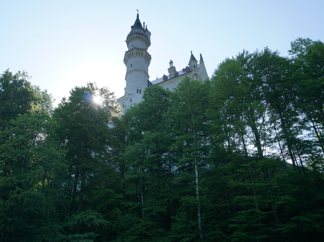 Hotel Pension Schweizerhof主图