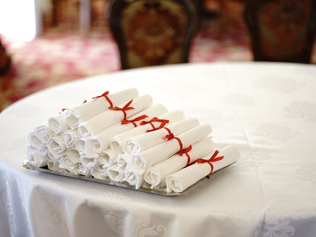 Hotel Belvedere Braila主图