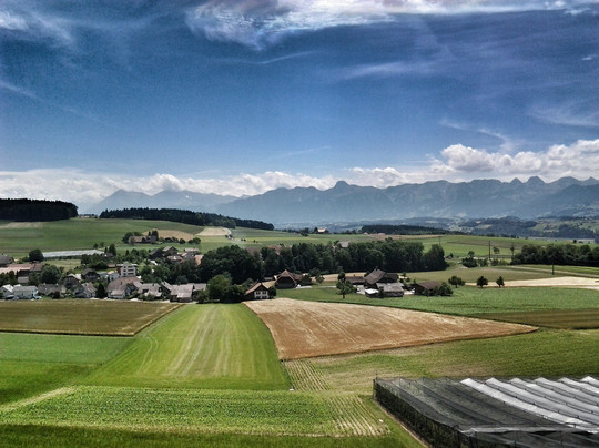 Swiss Travel Guide-苏黎世必去景点