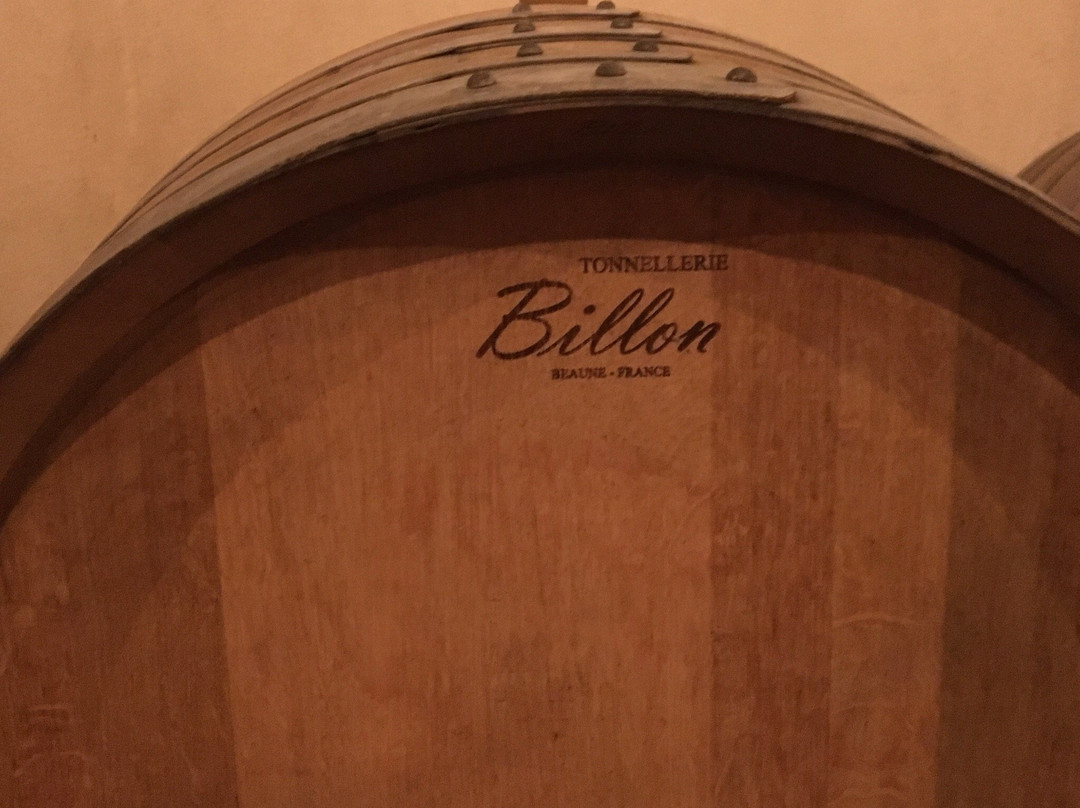 Vasilikon winery-帕福斯必去景点