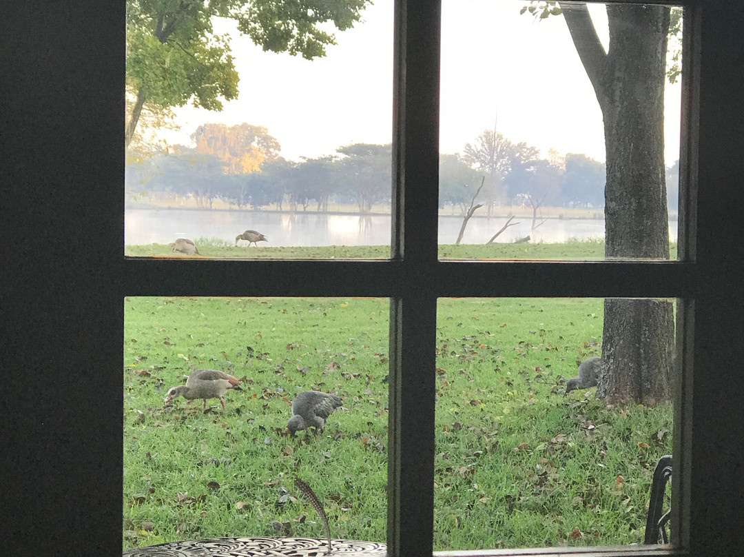 非洲之傲艾琳乡村别墅酒店主图