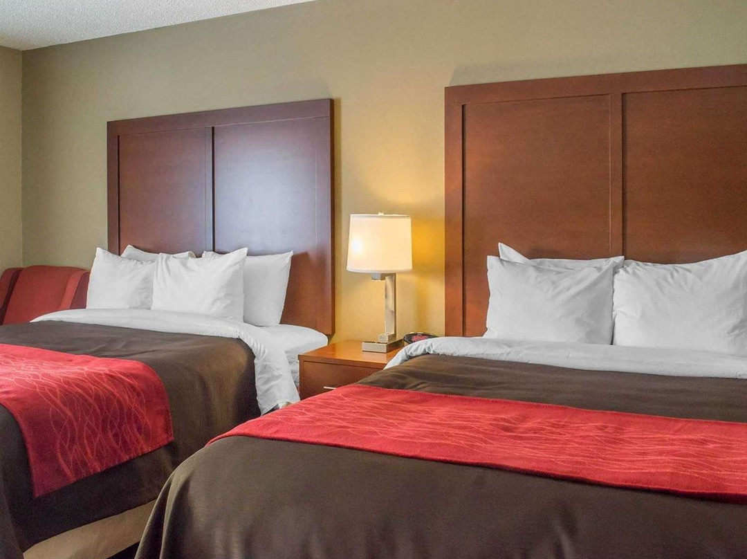 Comfort Inn Mayfield Heights Cleveland East主图