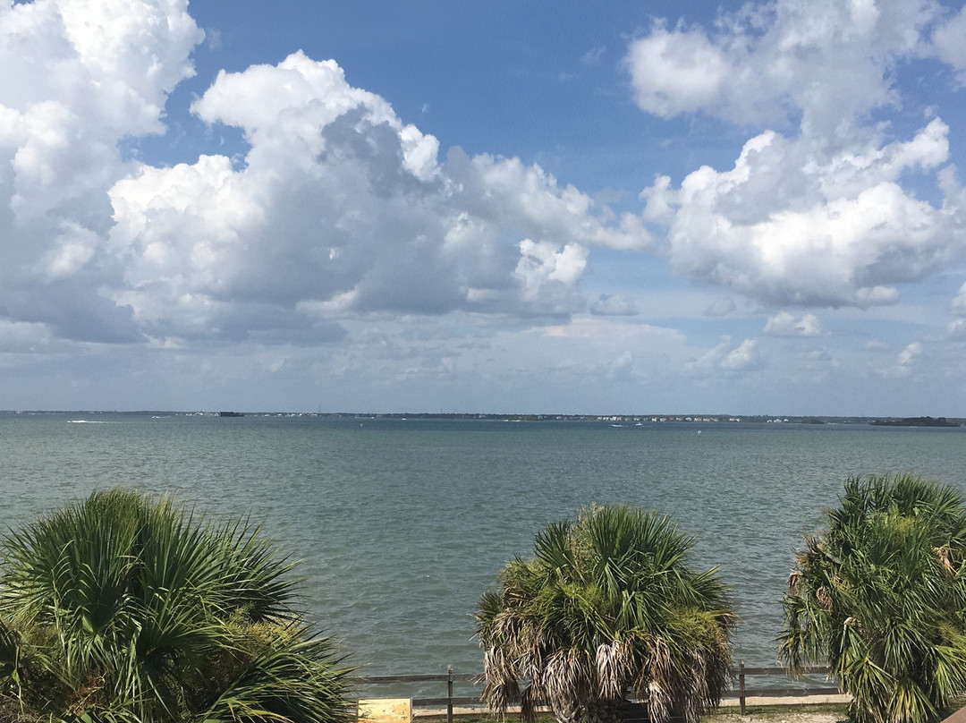 Honeymoon Island State Park景点图片