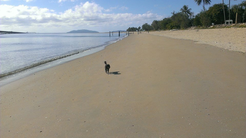 Lucinda Jetty-Lucinda必去景点