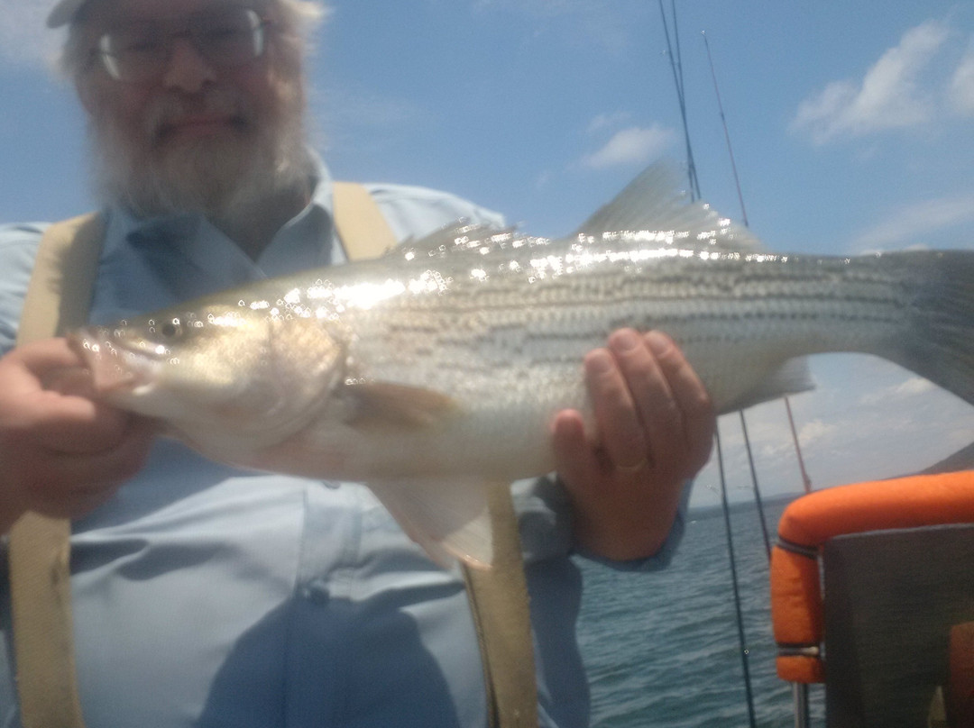 Tommy Cauley: Fishing Guide Service Greers Ferry Lake景点图片