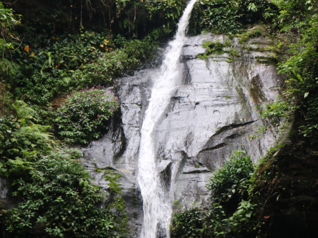 Cascade de Womé景点图片