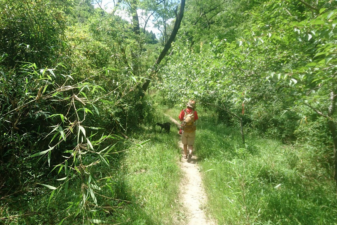 Umegase Valley-市原市必去景点