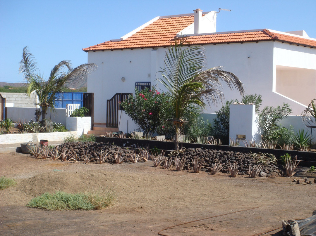 Barracudamaio