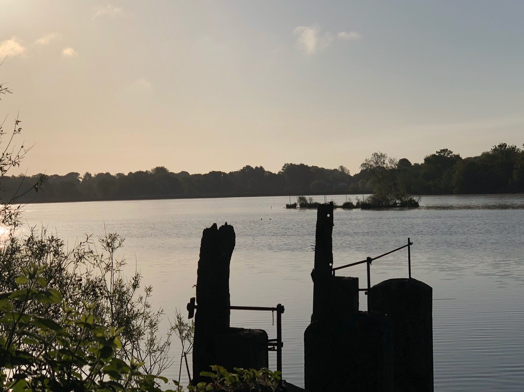 Earlswood Lakes Canalside景点图片