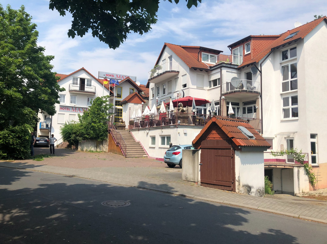 Maxi Hotel Frankfurt Airport主图