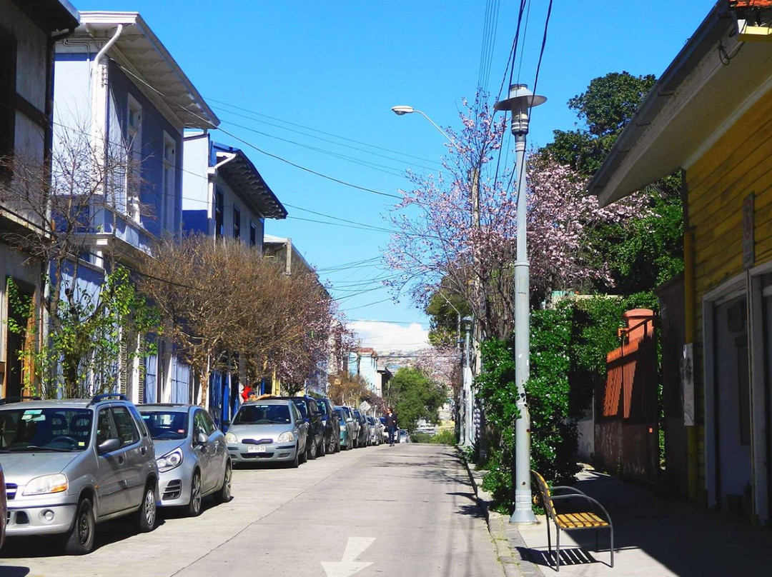 Miel de Oveja-瓦尔帕莱索必去景点