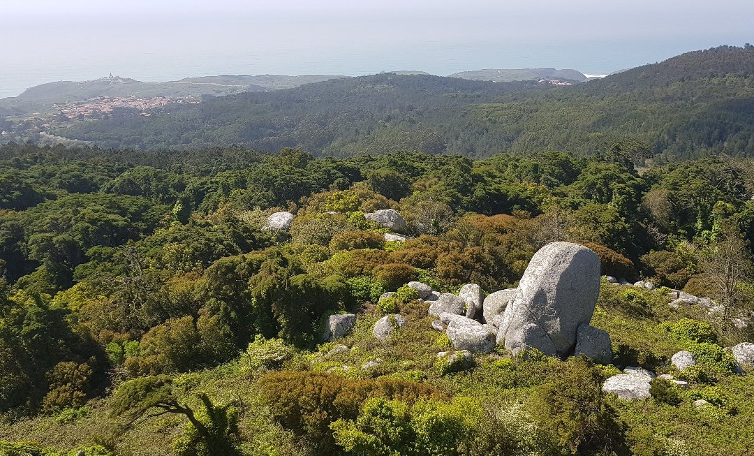 Santuário da Peninha景点图片