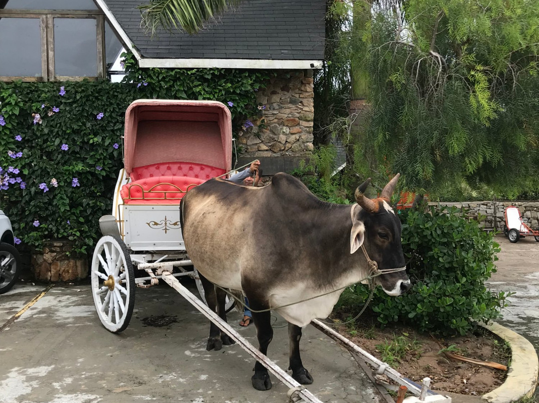 Pousada Pedra Grande主图