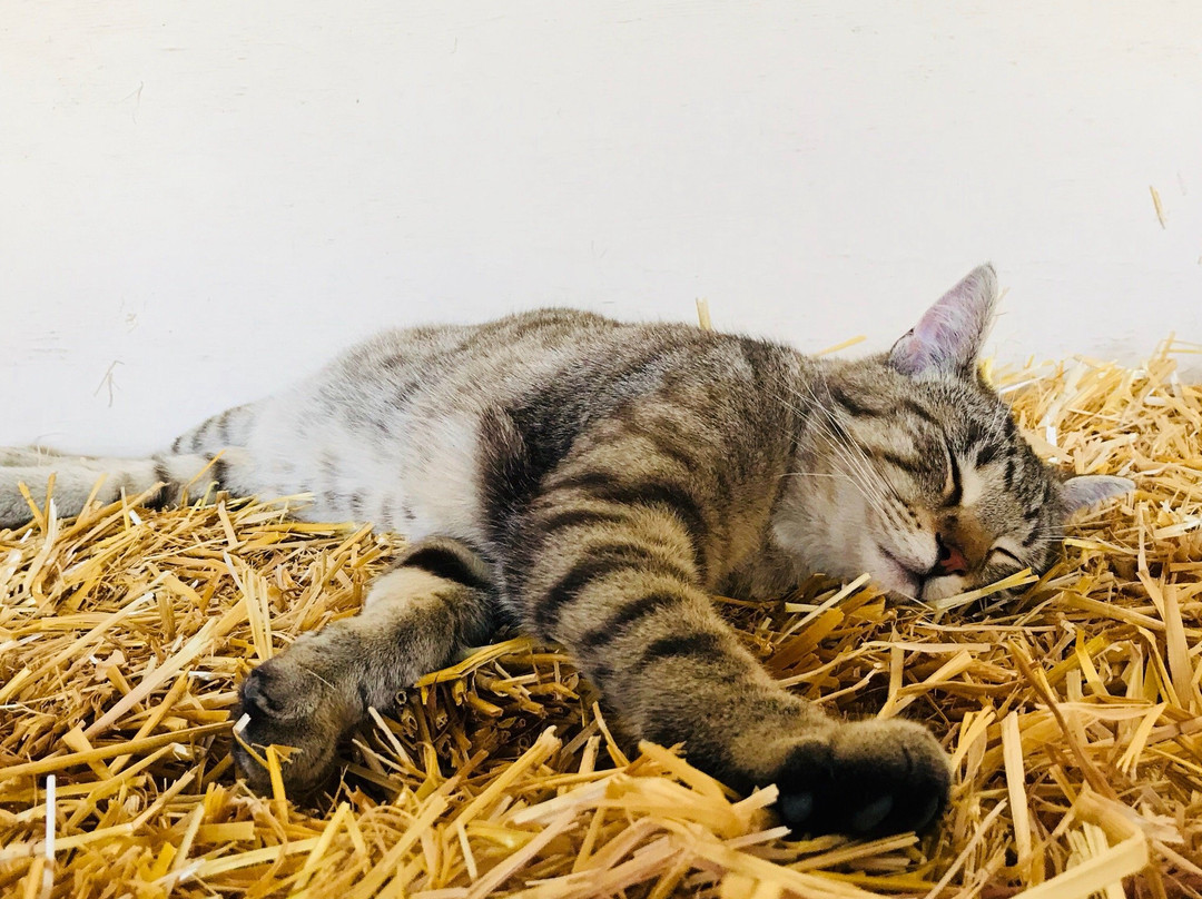 Kismet Creek Farm-Steinbach必去景点