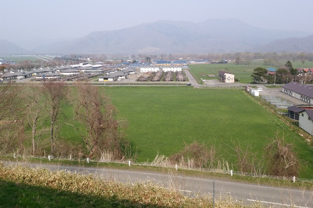 Yushun Sakura Road景点图片