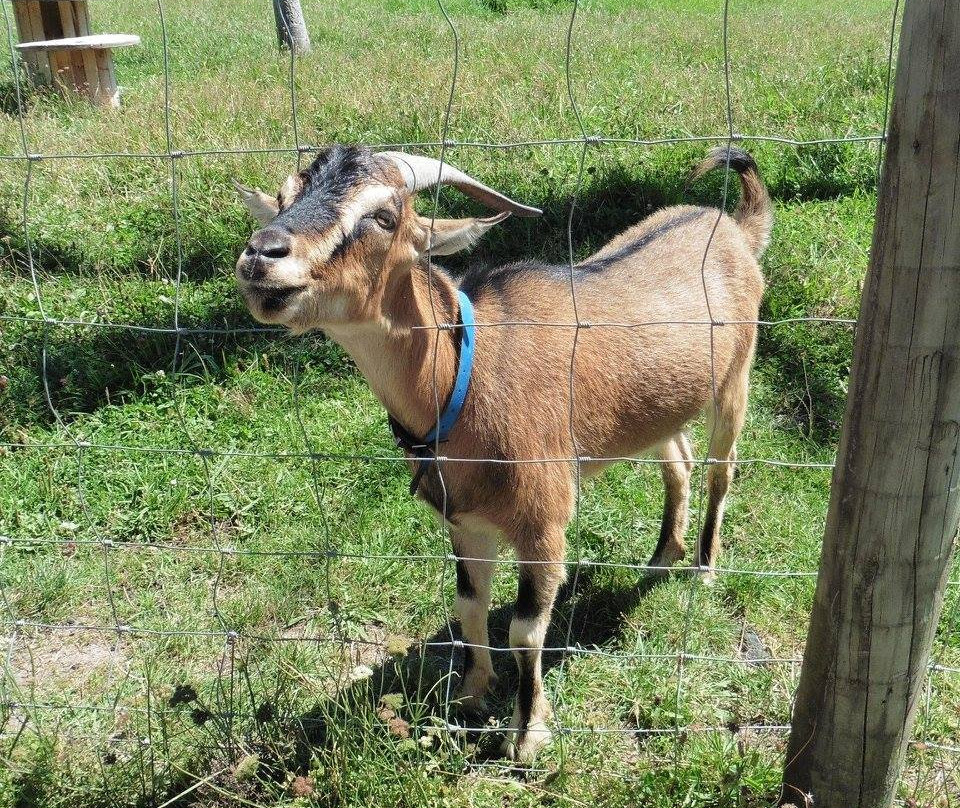 Matakana Country Park-马塔卡纳小镇必去景点