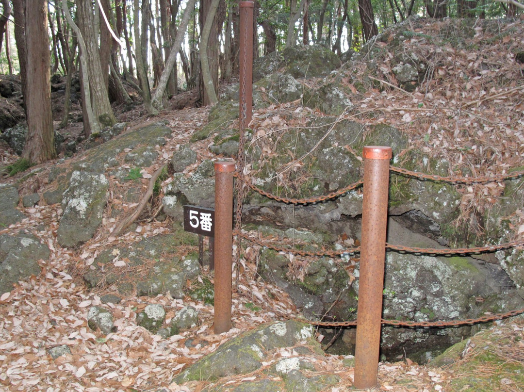 Narusawa's Tree Form Lava景点图片