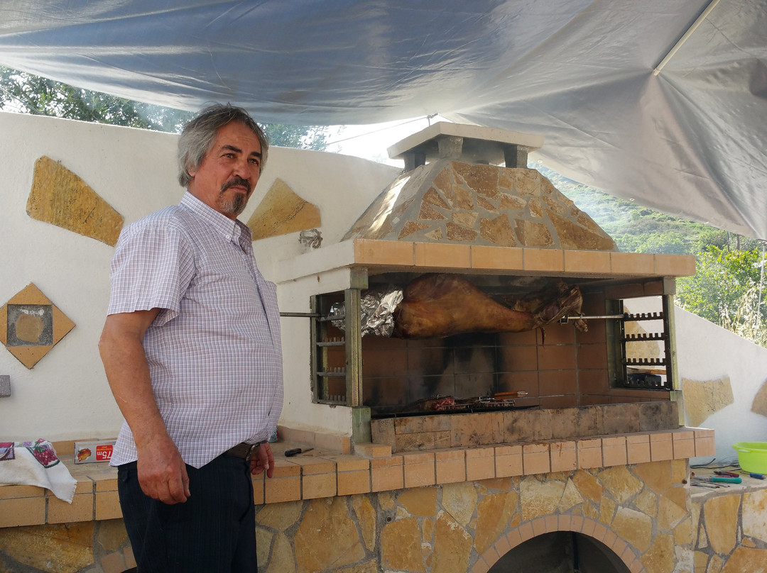 Nicolas Studios主图