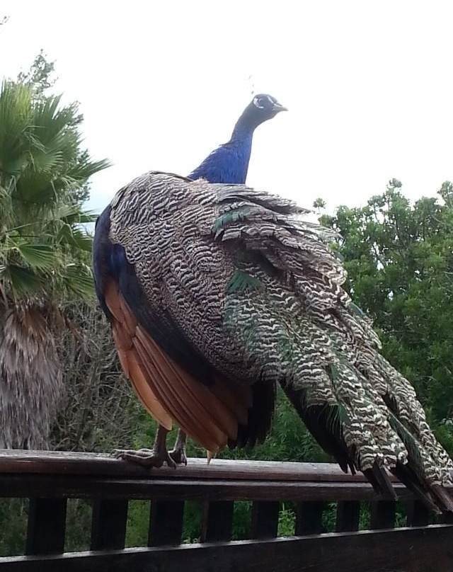 Hildesheim Guest Lodge主图