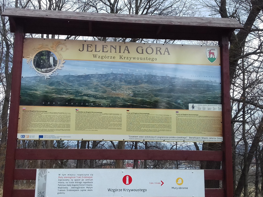 Tower "Mushroom" - Krzywoustego Hill-Jelenia Gora必去景点