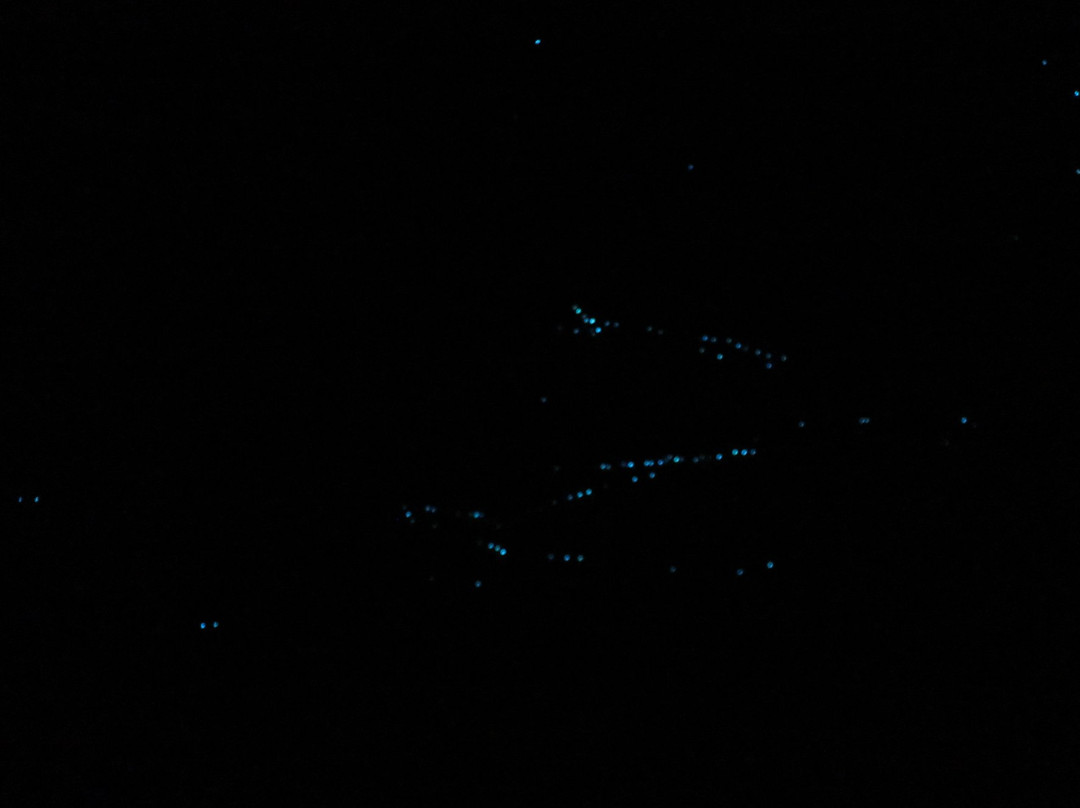 Glow Worm Glen-Bundanoon必去景点