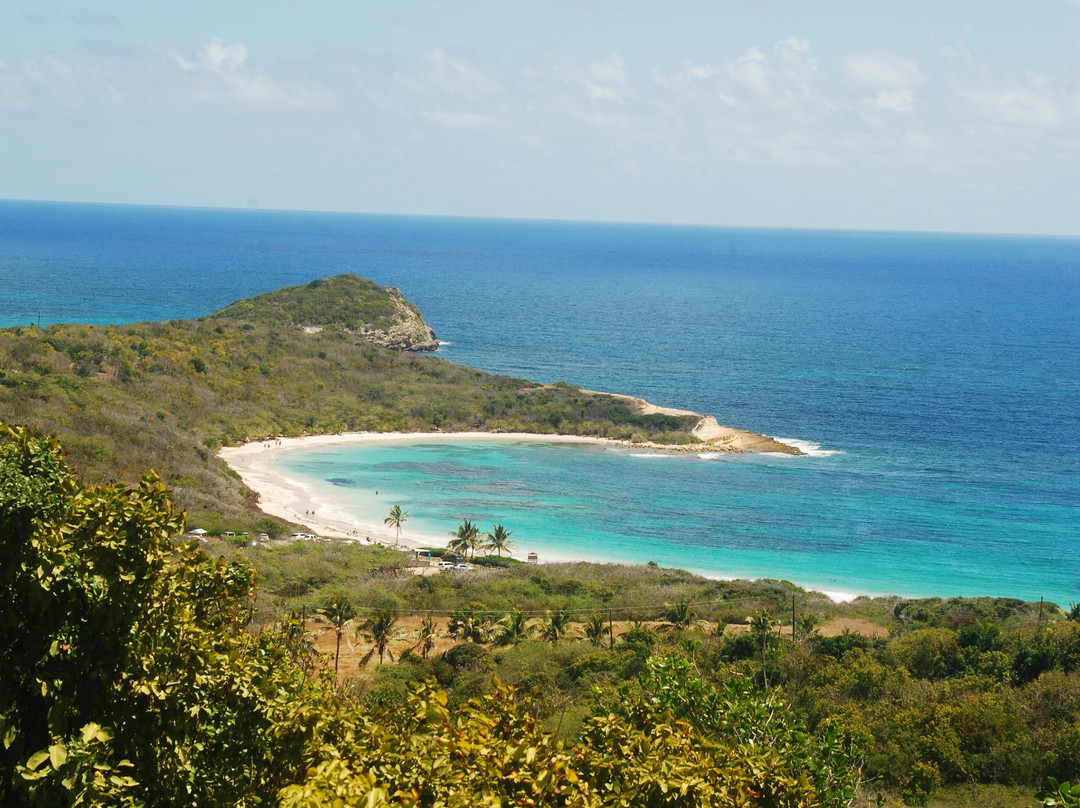 365 Beaches-圣 约翰必去景点