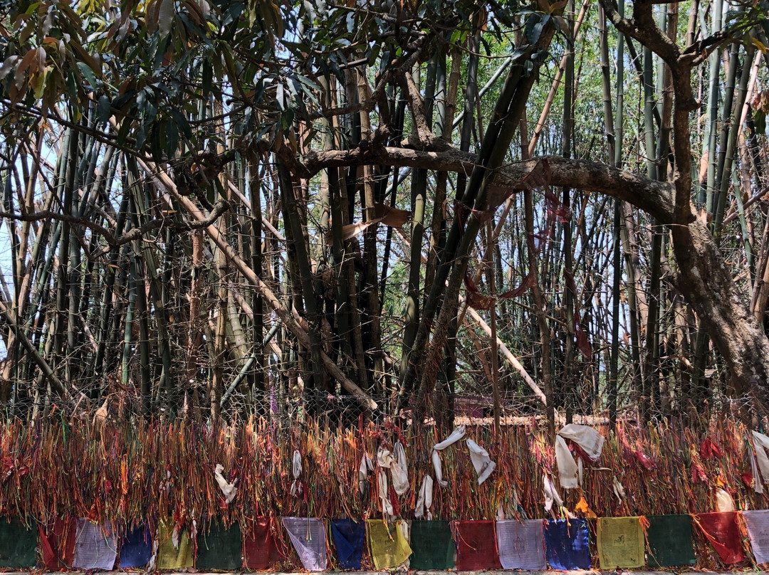 Buddhasubba Temple景点图片