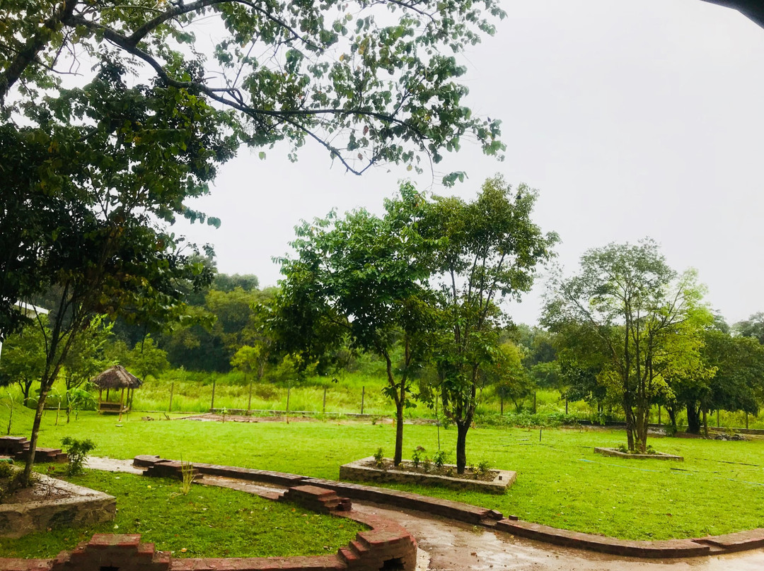 Into The Wild Sigiriya主图