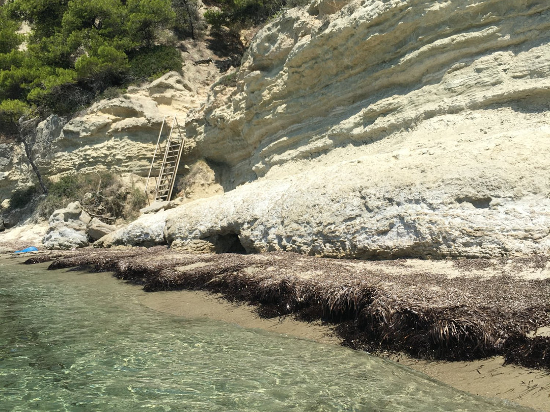 德律阿德斯酒店主图