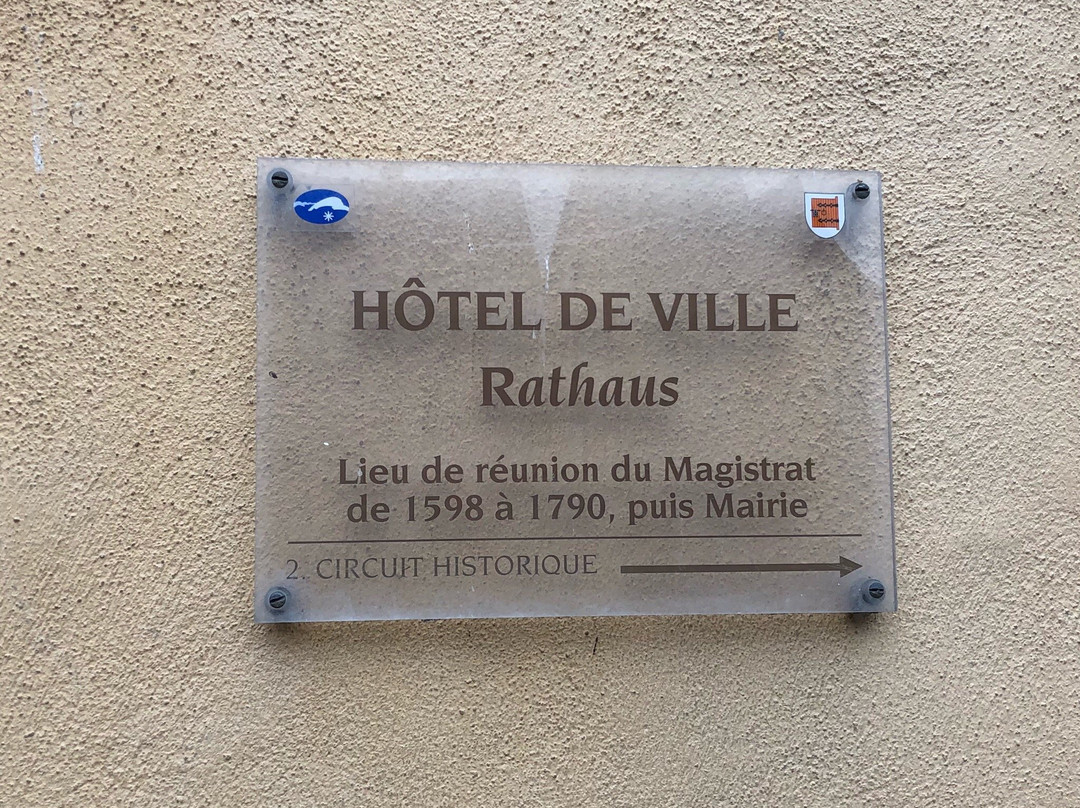 Hotel de Ville (Mairie)景点图片