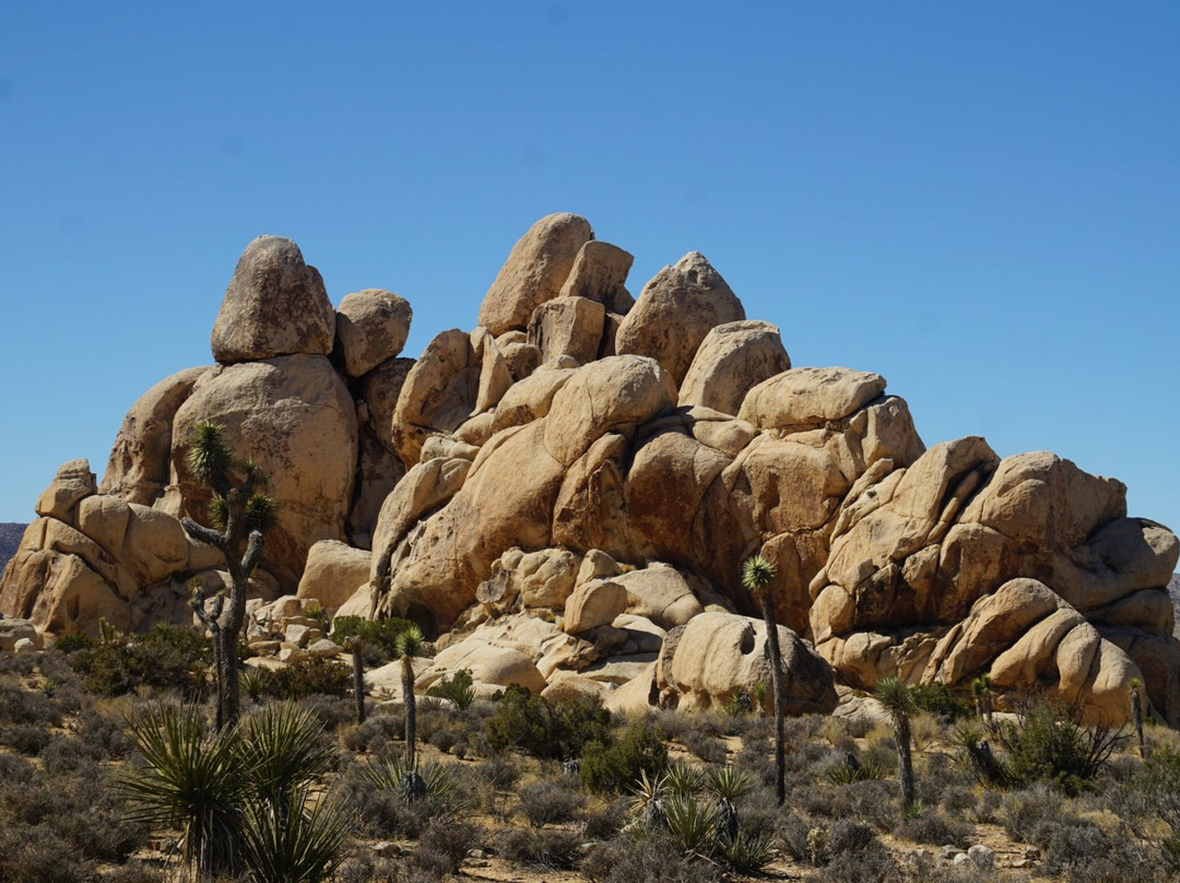 Hall of Horrors-约书亚树国家公园必去景点