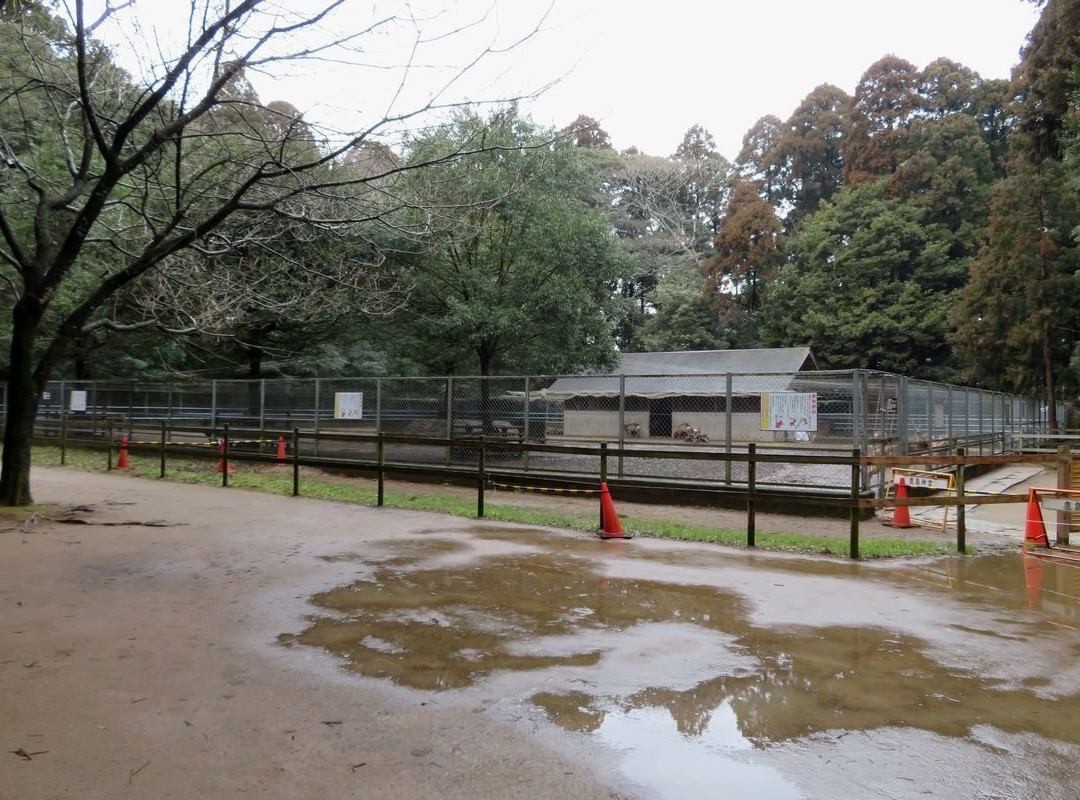 Kashima Jingu Kaen景点图片