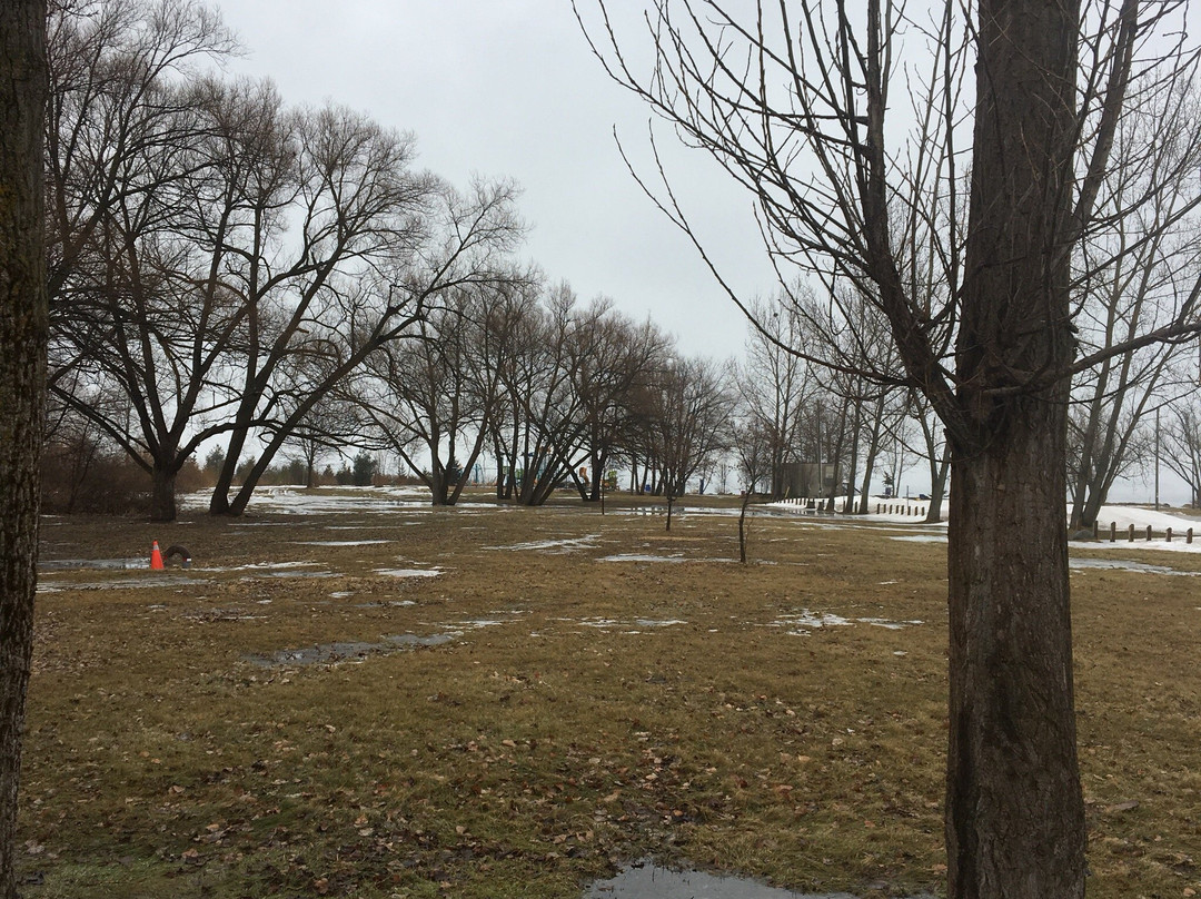 Innisfil Beach Park景点图片