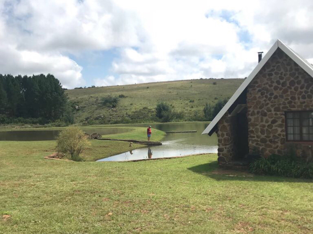 The Kingfisher Trout Lodge