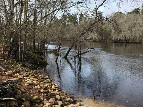 Ridgeville旅游攻略图片