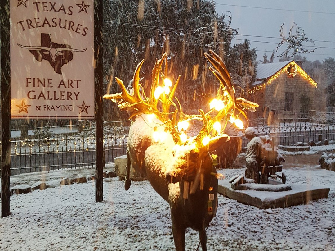 Texas Treasures Fine Art Gallery-Boerne必去景点