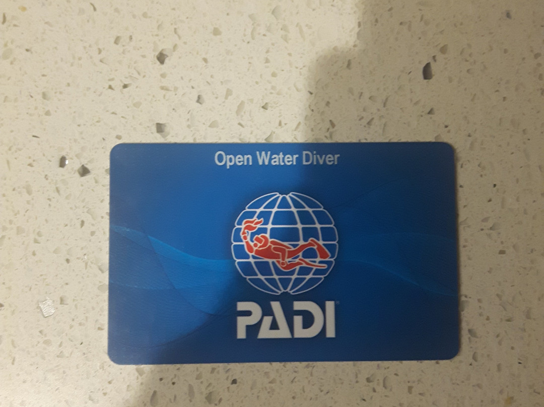 Nanaimo Dive Outfitters-纳奈莫必去景点