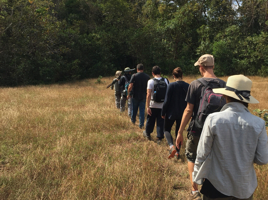 Seima Protection Forest-森莫诺隆必去景点