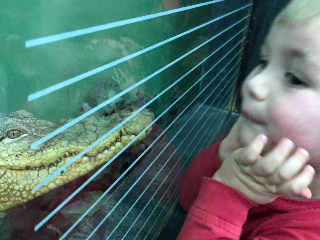 RAD Zoo (Reptile Amphibian Discovery Zoo)景点图片