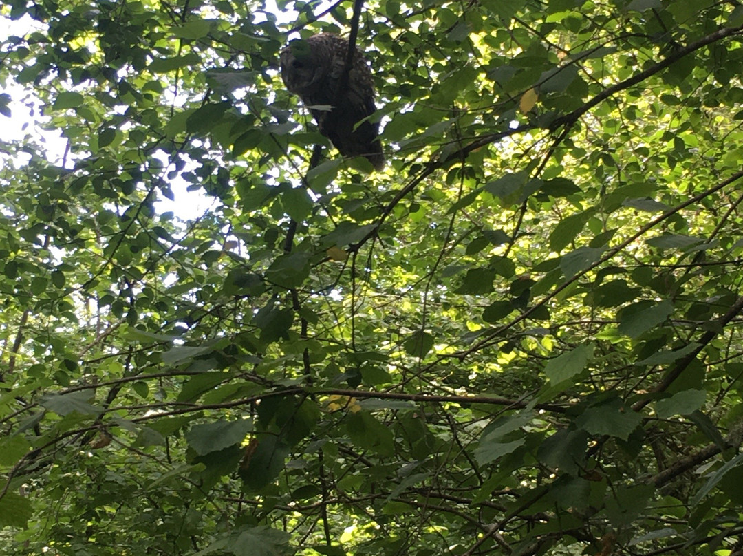 Blyth Park-博塞尔必去景点