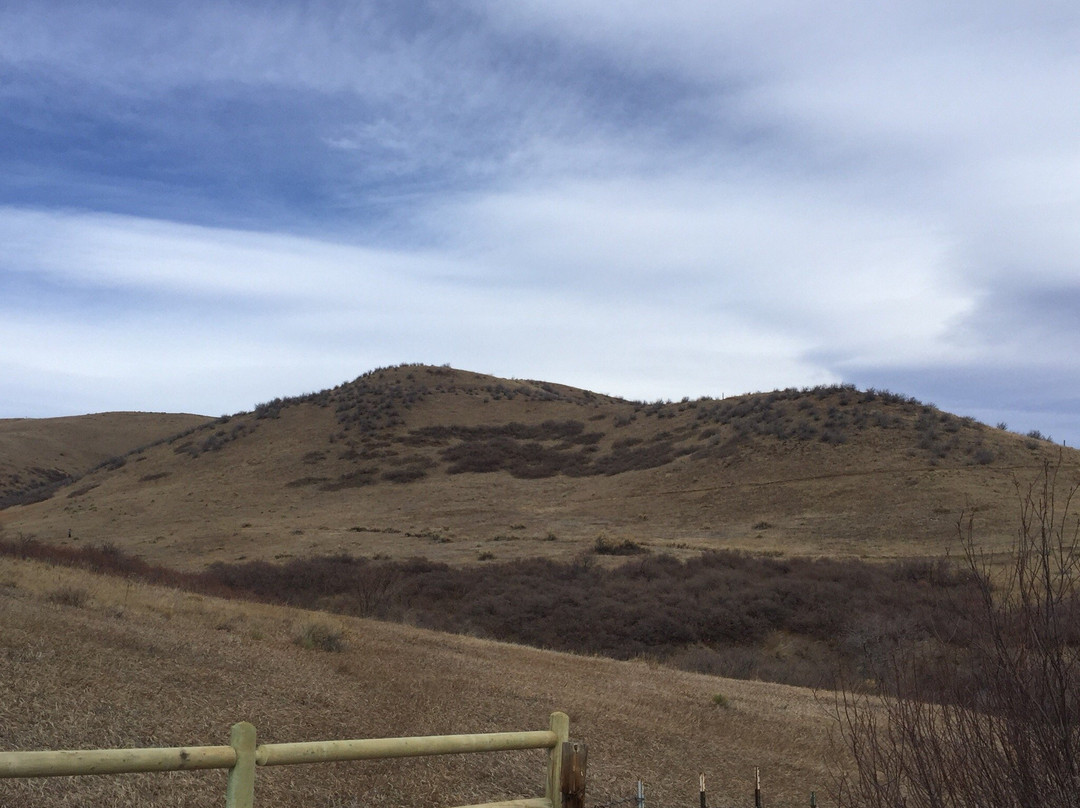 William F. Hayden Green Mountain Park景点图片