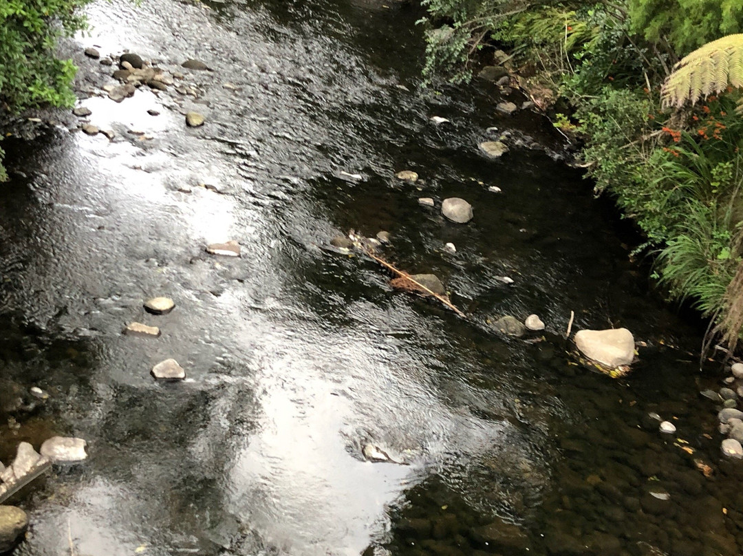 Te Henui Walkway-新普利默斯必去景点