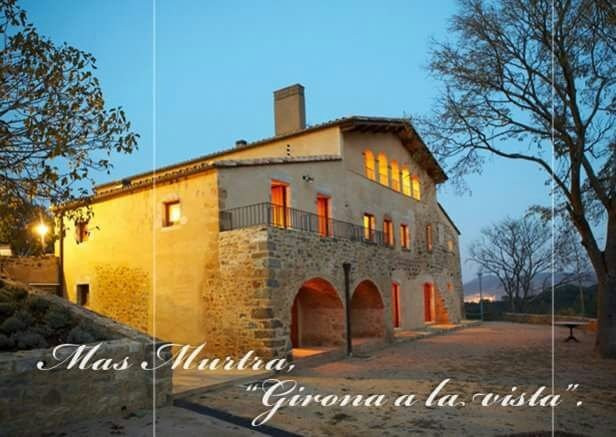 Ayurveda Mas Murtra主图