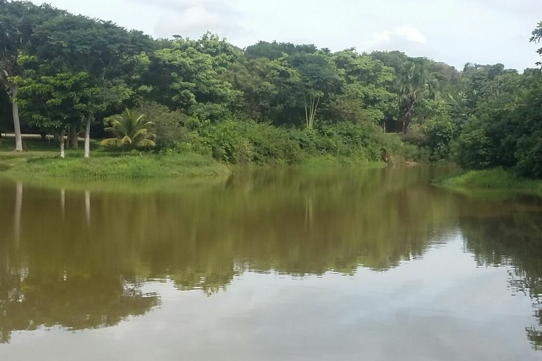 Neropolis旅游攻略图片