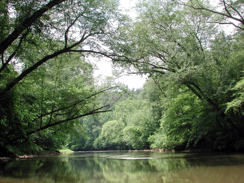 Chestatee River Adventures-达洛尼加必去景点
