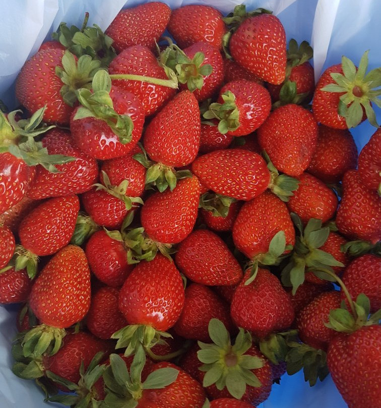 Naturipe Fruits景点图片