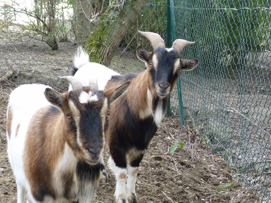 Ferme Pédagogique de Cinquante景点图片