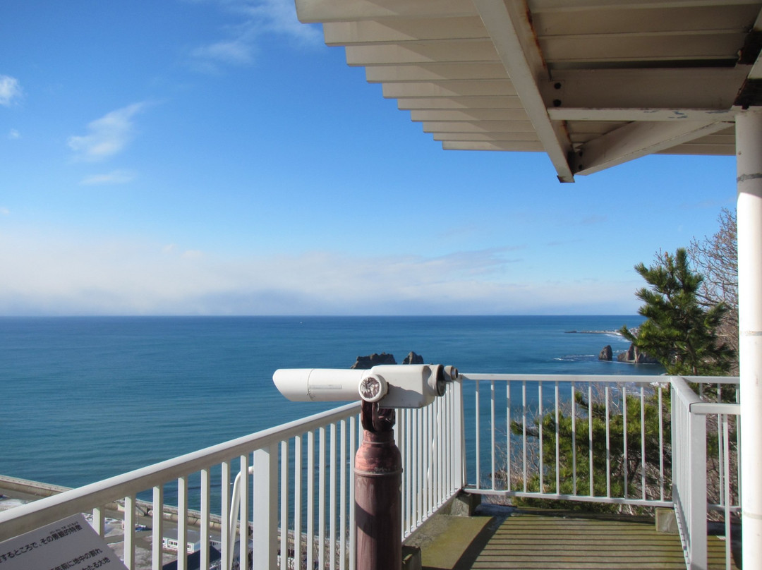 Kannonyama Park-样似町必去景点