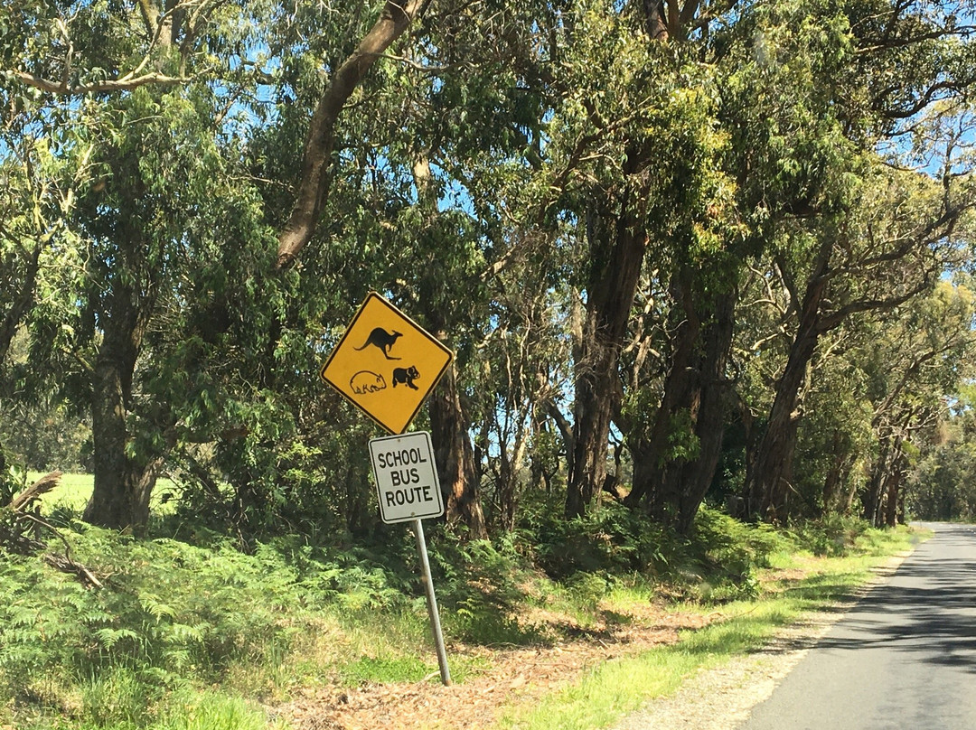 Waratah Bay Beach-Waratah Bay必去景点